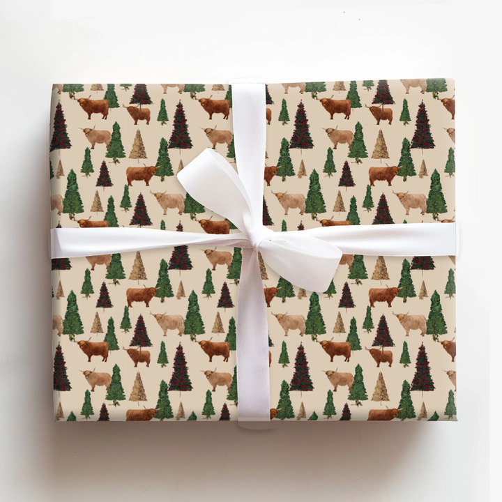 Cattle in Christmas Pines