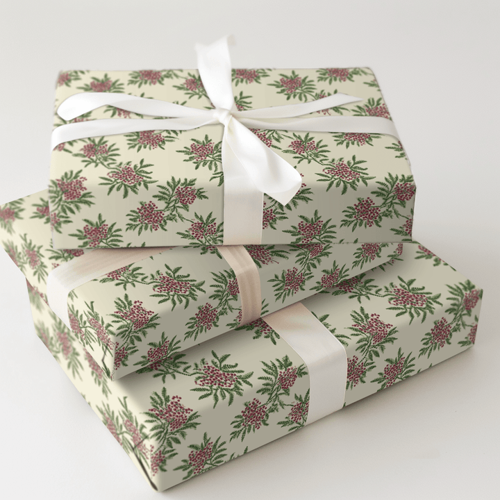 Parchment Poppy - Wrapping Paper - Aspen & Arlo