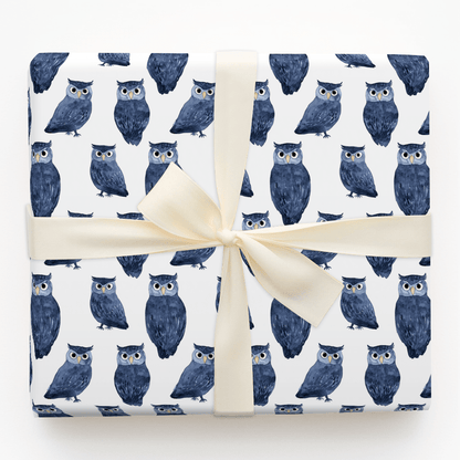 Hoodini Win - Wrapping Paper - Aspen & Arlo