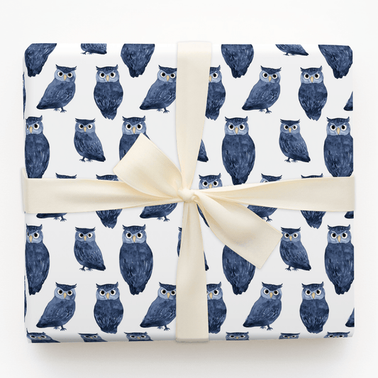 Hoodini Win - Wrapping Paper - Aspen & Arlo