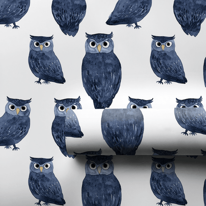 Hoodini Win - Wrapping Paper - Aspen & Arlo