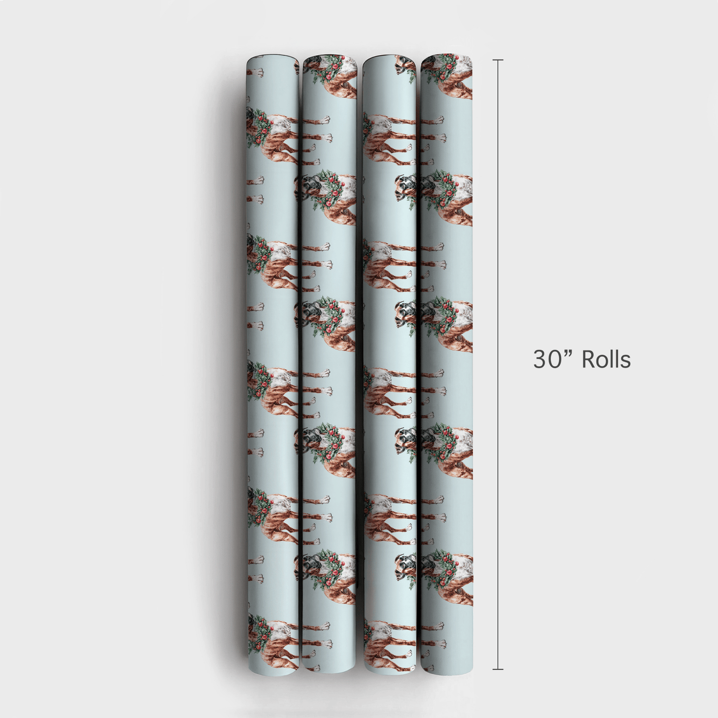 Ring Around the Boxer - Wrapping Paper - Aspen & Arlo