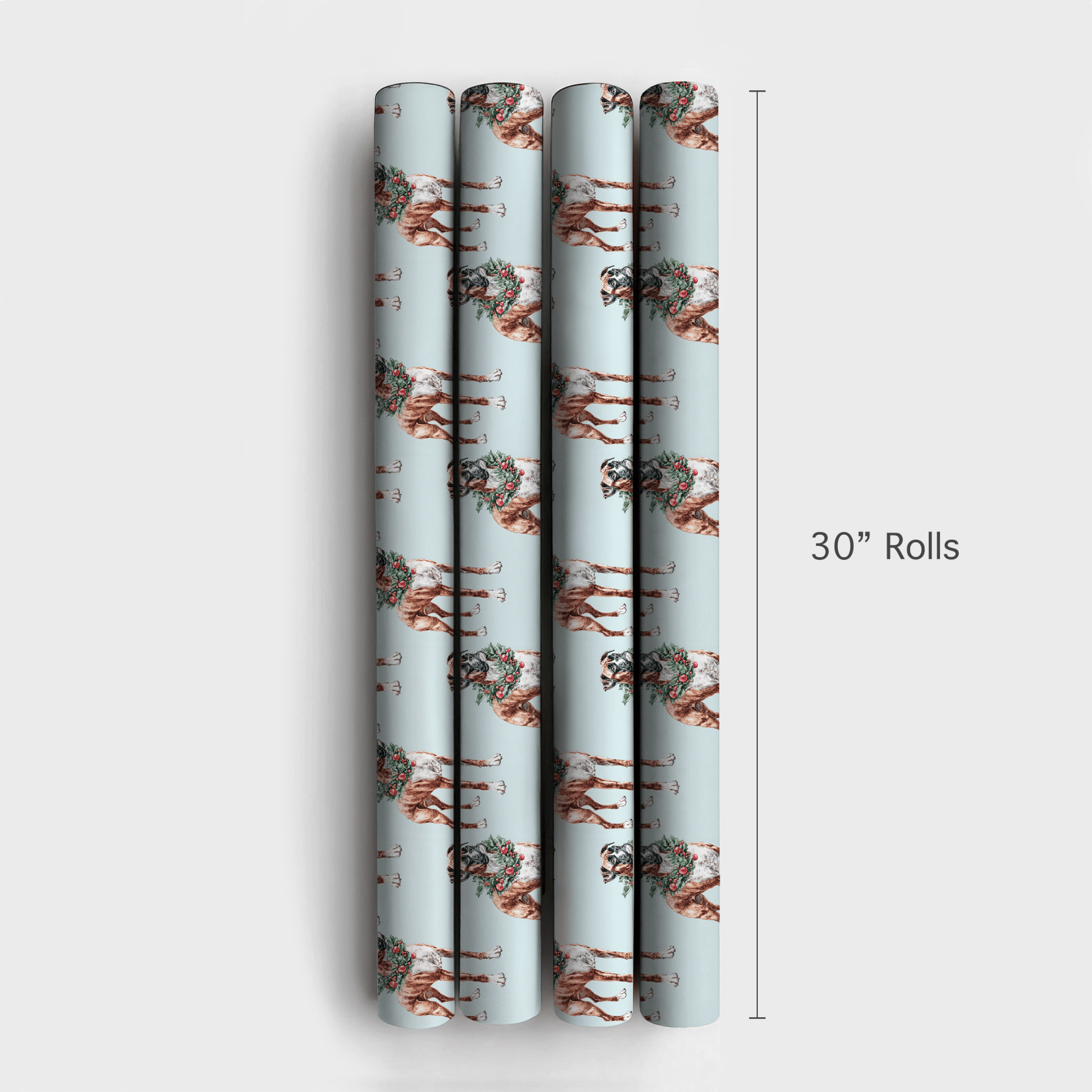 Ring Around the Boxer - Wrapping Paper - Aspen & Arlo