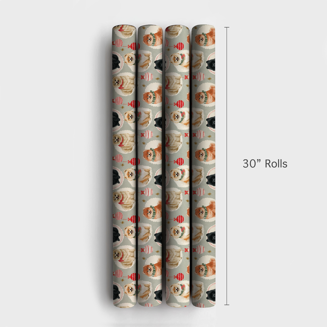 Merry Little Pomeranians