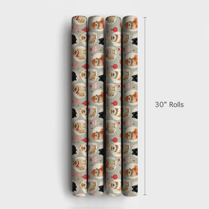 Merry Little Pomeranians