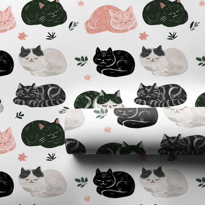 Cat Nap Noel