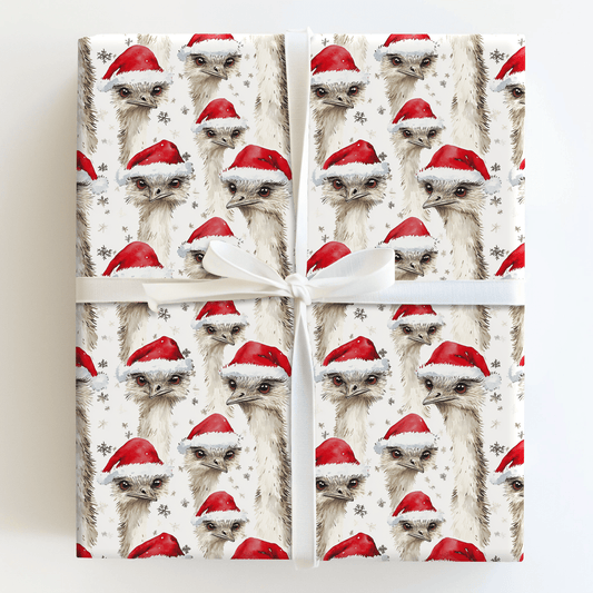 Emu For Goodness Sake - Wrapping Paper - Aspen & Arlo