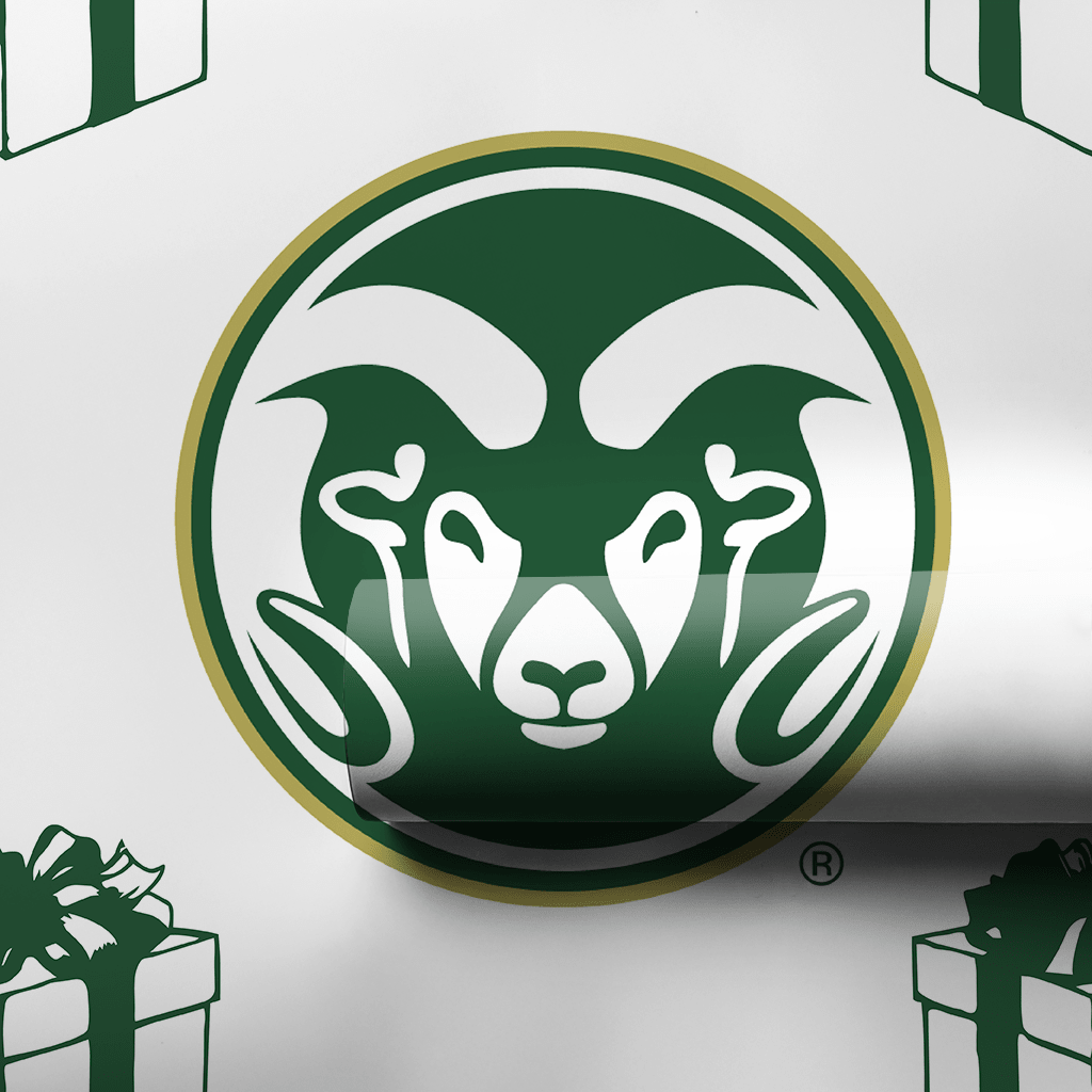 CSU Present - Wrapping Paper - Aspen & Arlo