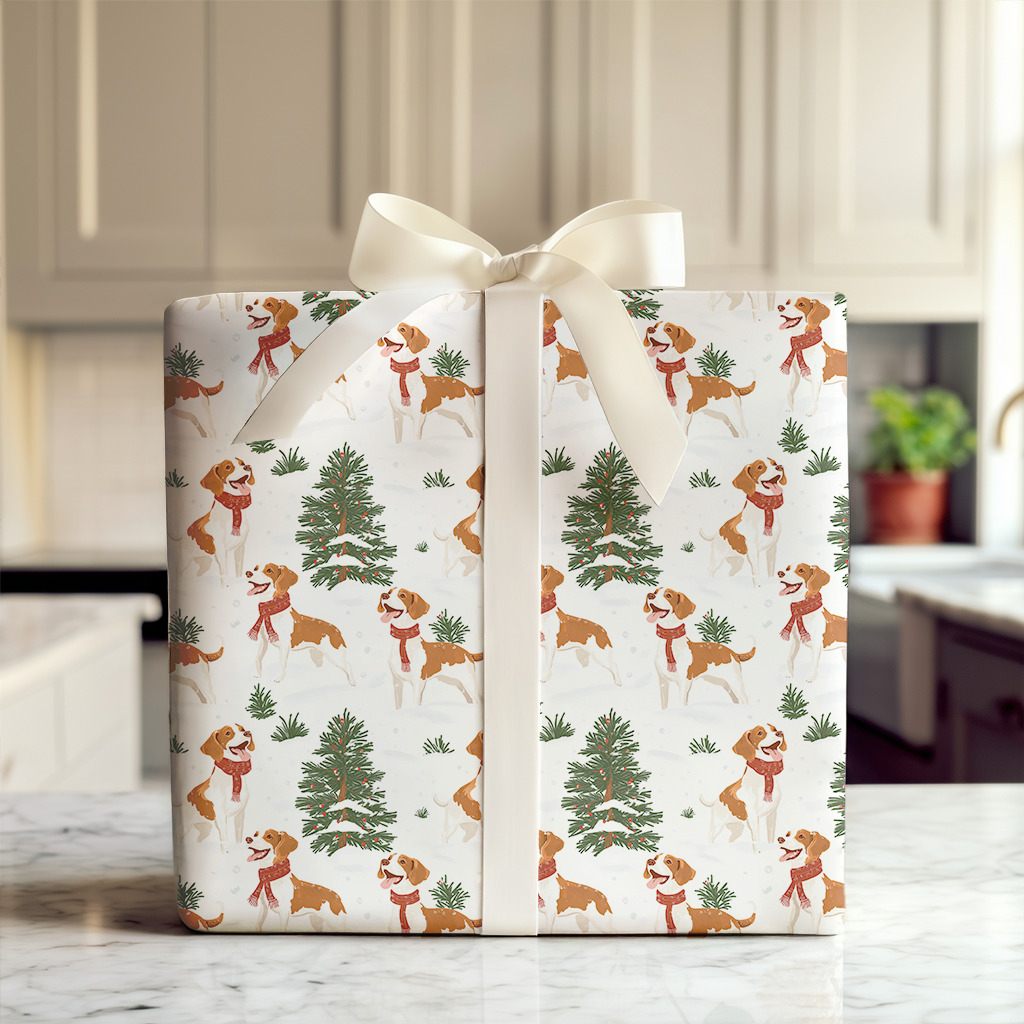 Snow Day for Brittanys - Counter