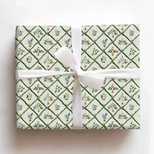 Velvet Evergreen - Wrapping Paper - Aspen & Arlo