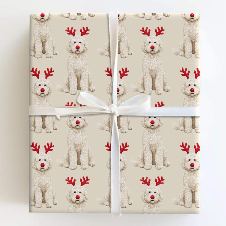Rudolph the White Goldendoodle