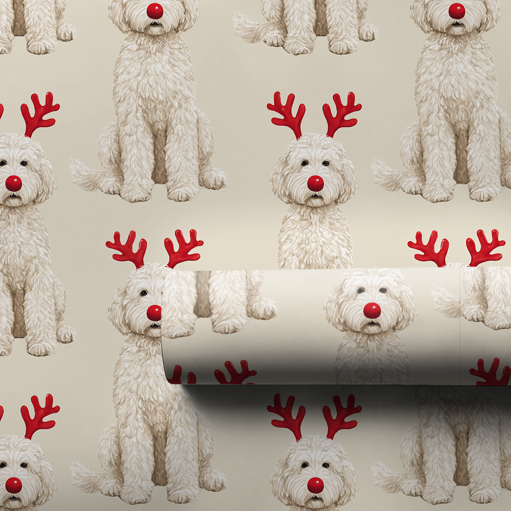 Rudolph the White Goldendoodle