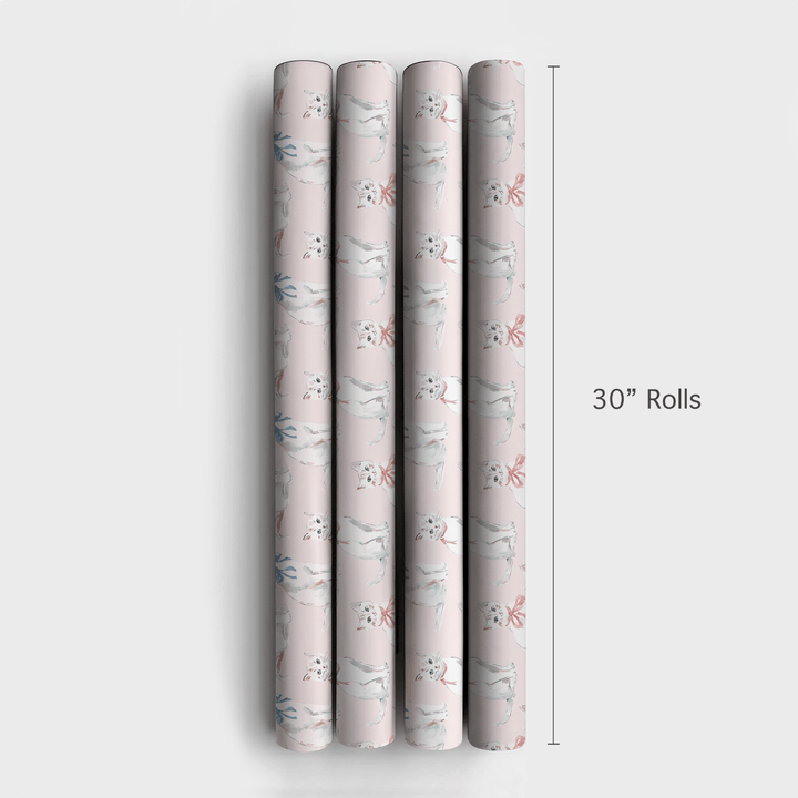 Sassy Cats - Wrapping Paper - Aspen & Arlo