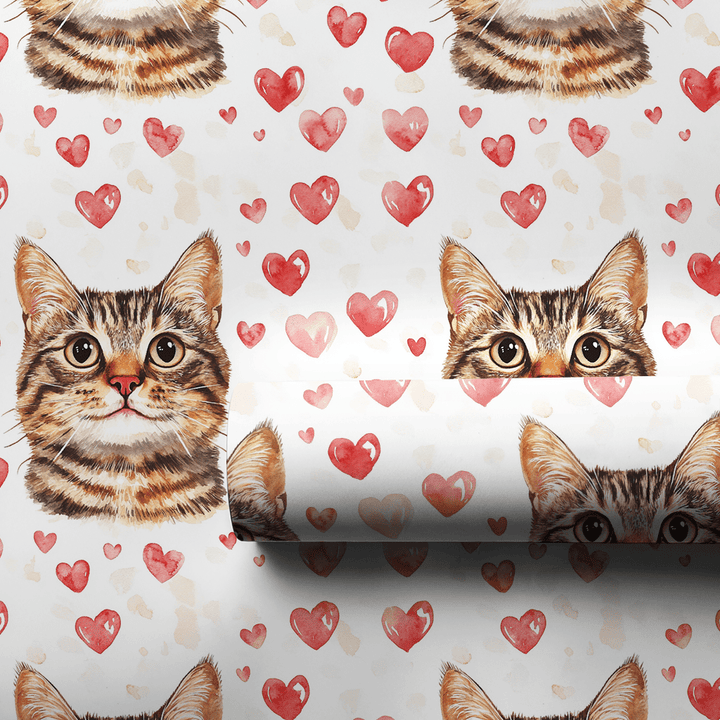 Bengal Valentine - Wrapping Paper - Aspen & Arlo