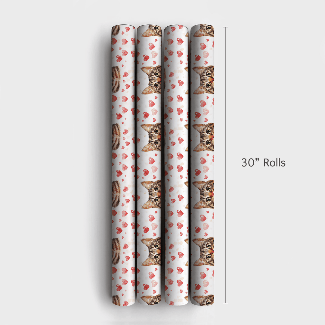 Bengal Valentine - Wrapping Paper - Aspen & Arlo