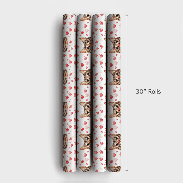 Bengal Valentine - Wrapping Paper - Aspen & Arlo