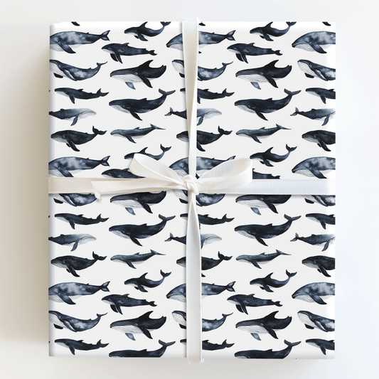 Whale of a Tail - Wrapping Paper - Aspen & Arlo