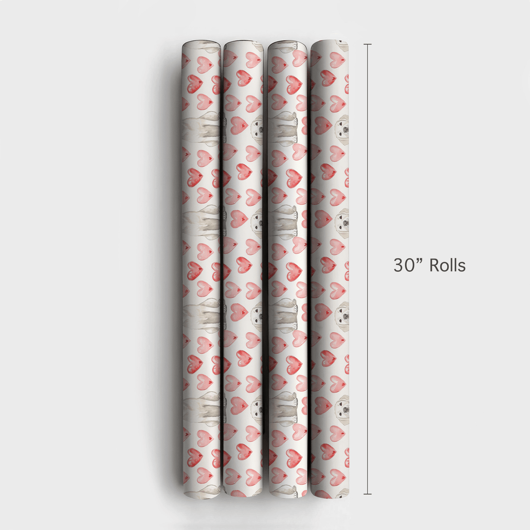 White Lab Valentine - Wrapping Paper - Aspen & Arlo