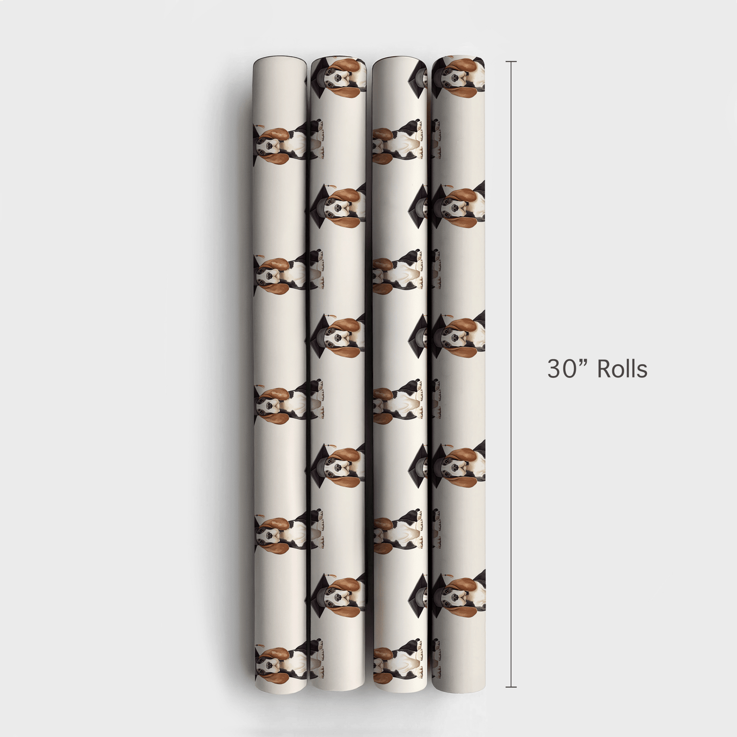 Basset Hound Graduate - Wrapping Paper - Aspen & Arlo