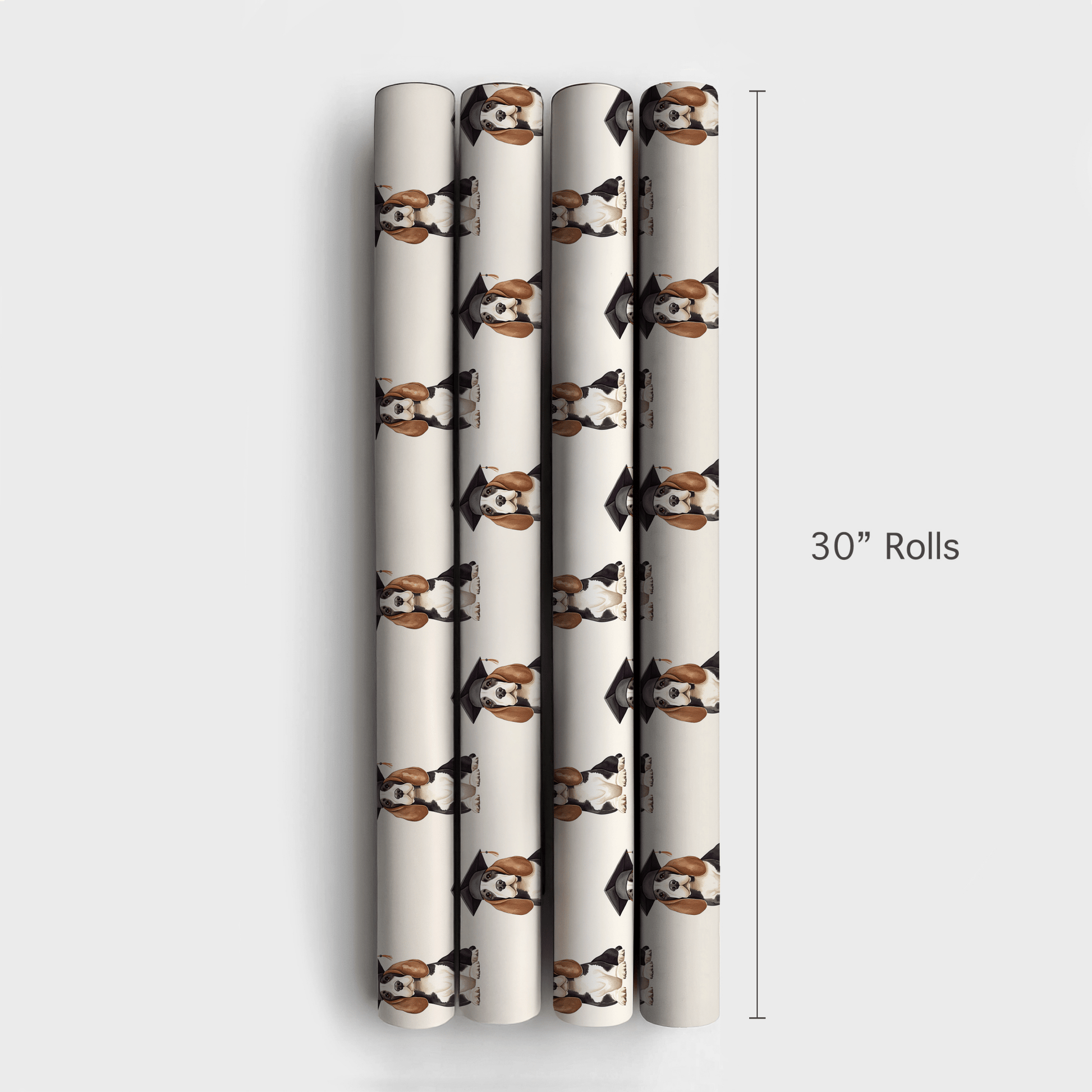 Basset Hound Graduate - Wrapping Paper - Aspen & Arlo