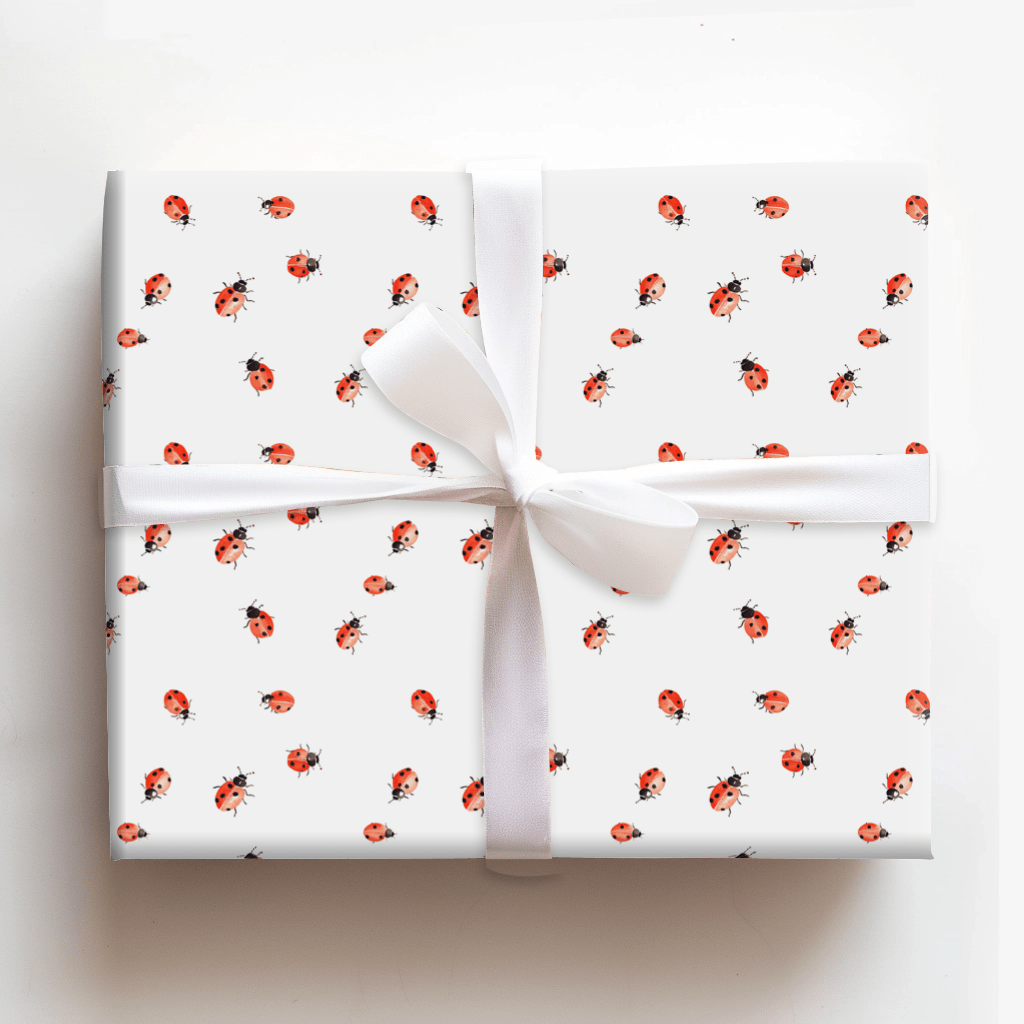 Miss Lady - Wrapping Paper - Aspen & Arlo