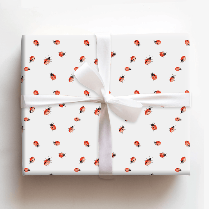 Miss Lady - Wrapping Paper - Aspen & Arlo
