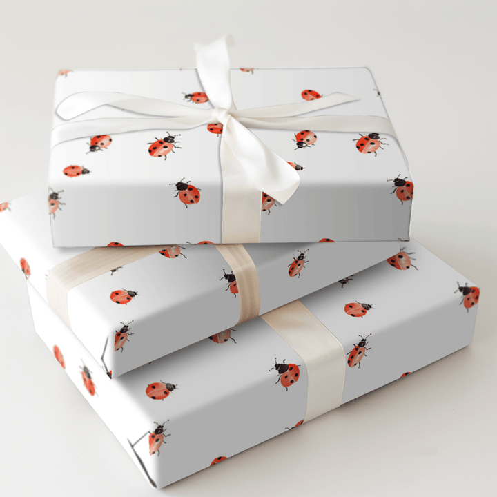 Miss Lady - Wrapping Paper - Aspen & Arlo