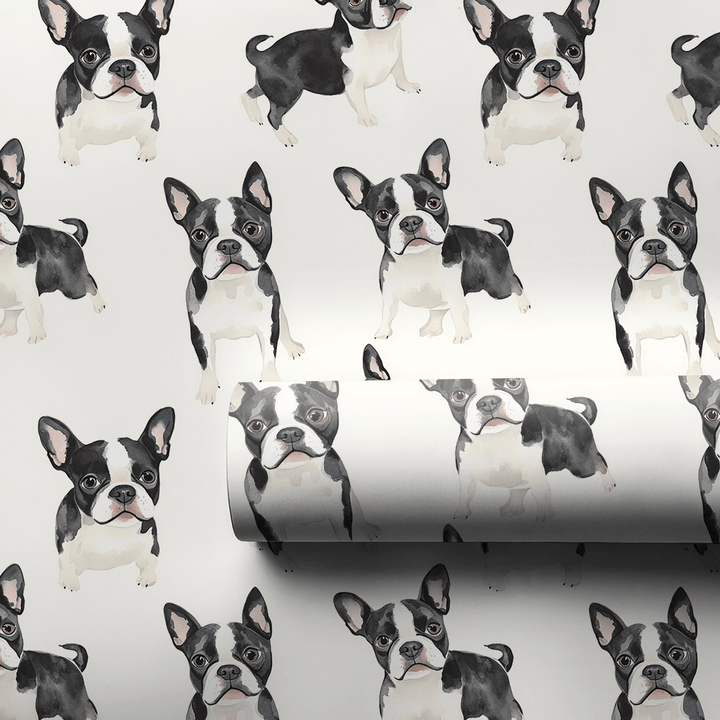 Boston Terriers - Wrapping Paper - Aspen & Arlo