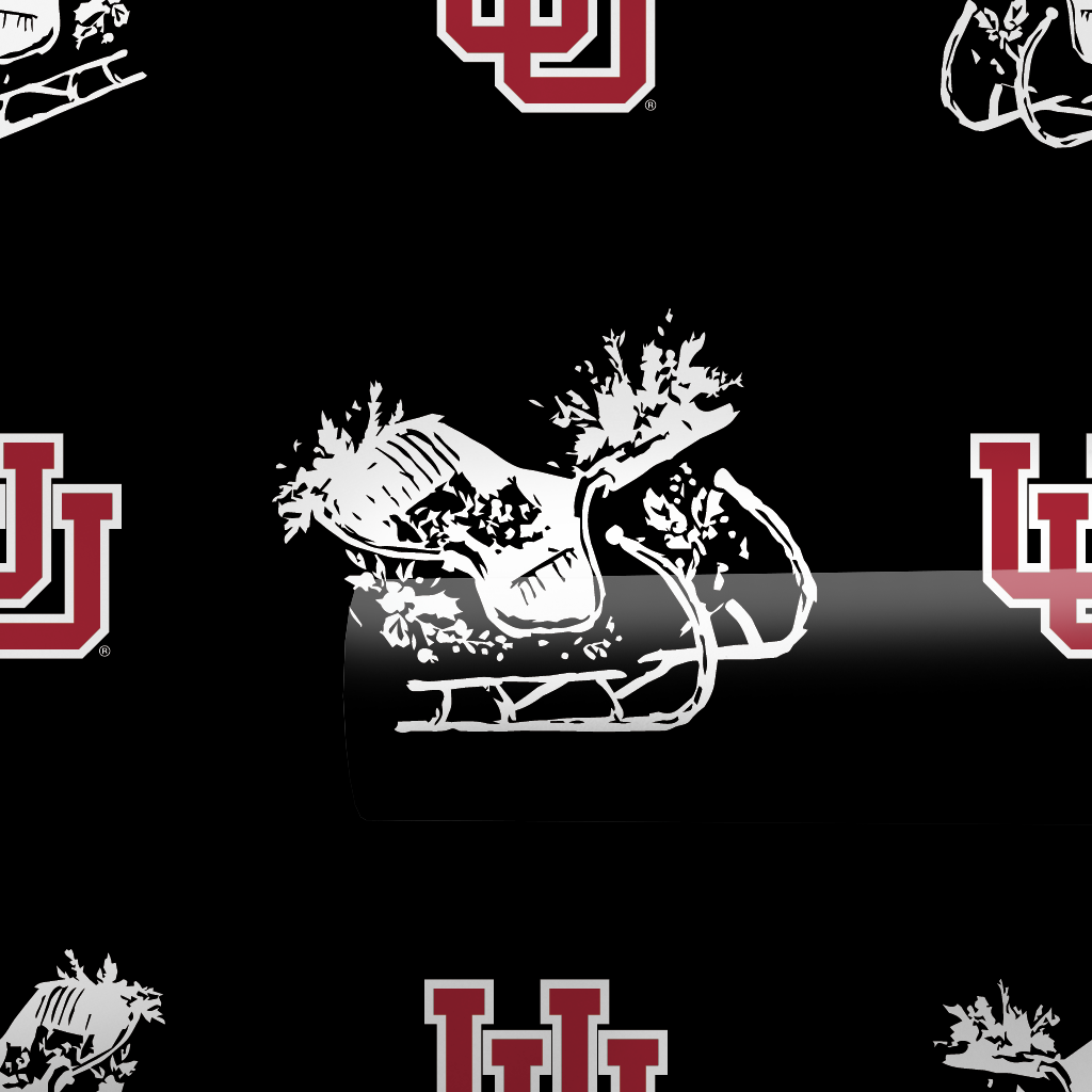 Sleigh Utah
