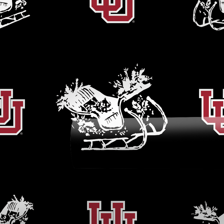 Sleigh Utah