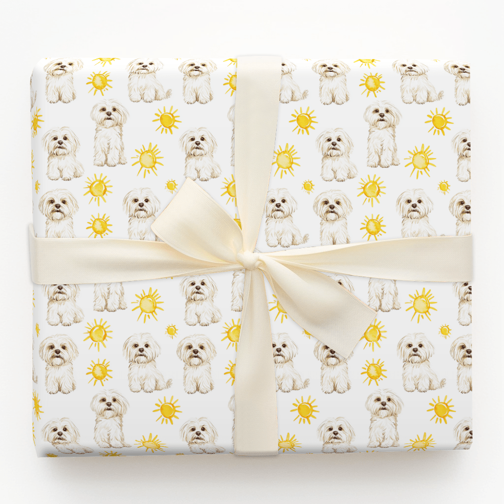 Sunny Day with the Maltese - Wrapping Paper - Aspen & Arlo