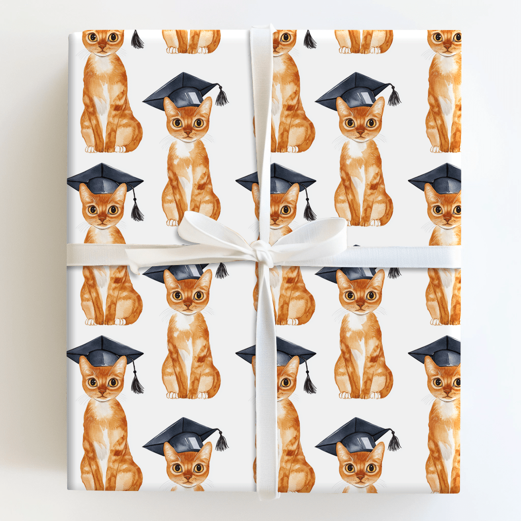 Abyssinian Graduate - Wrapping Paper - Aspen & Arlo