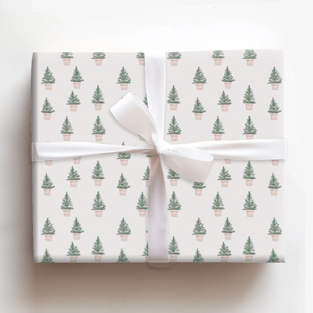 Rooted in Joy - Wrapping Paper - Aspen & Arlo