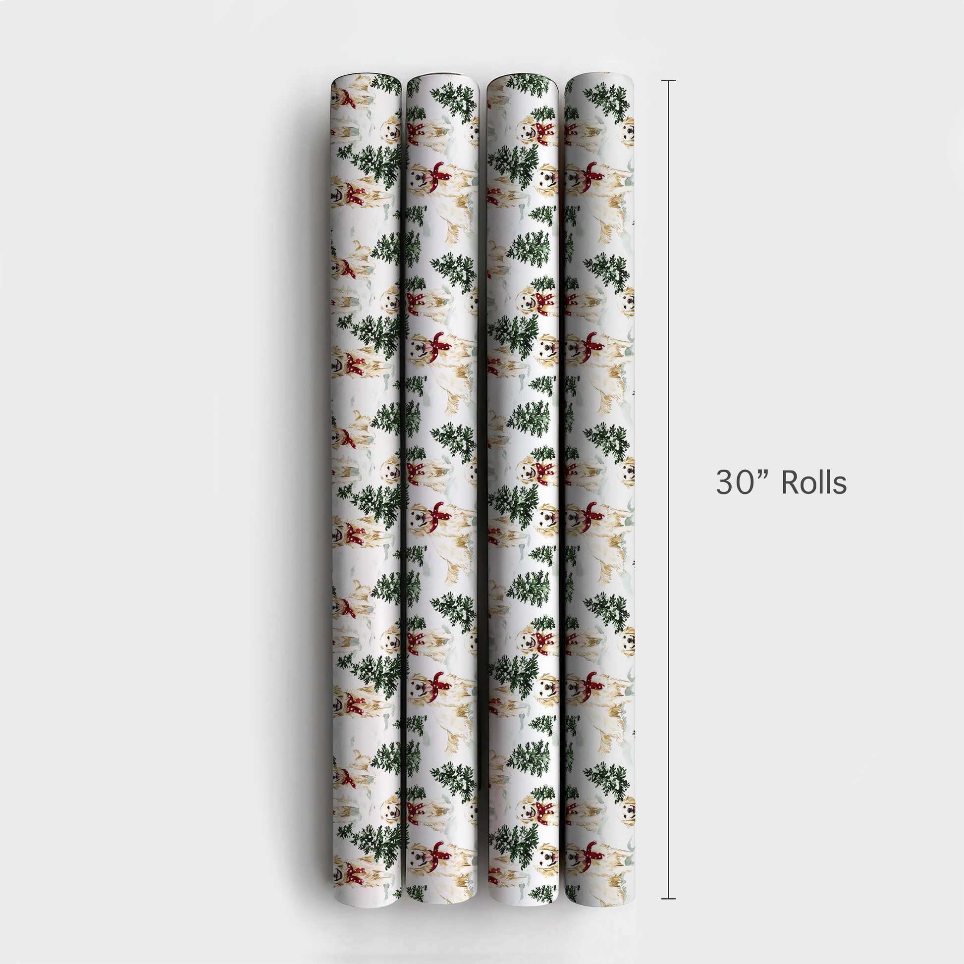 Snow Day for White Goldens Wrapping Paper: Golden Retriever Dog