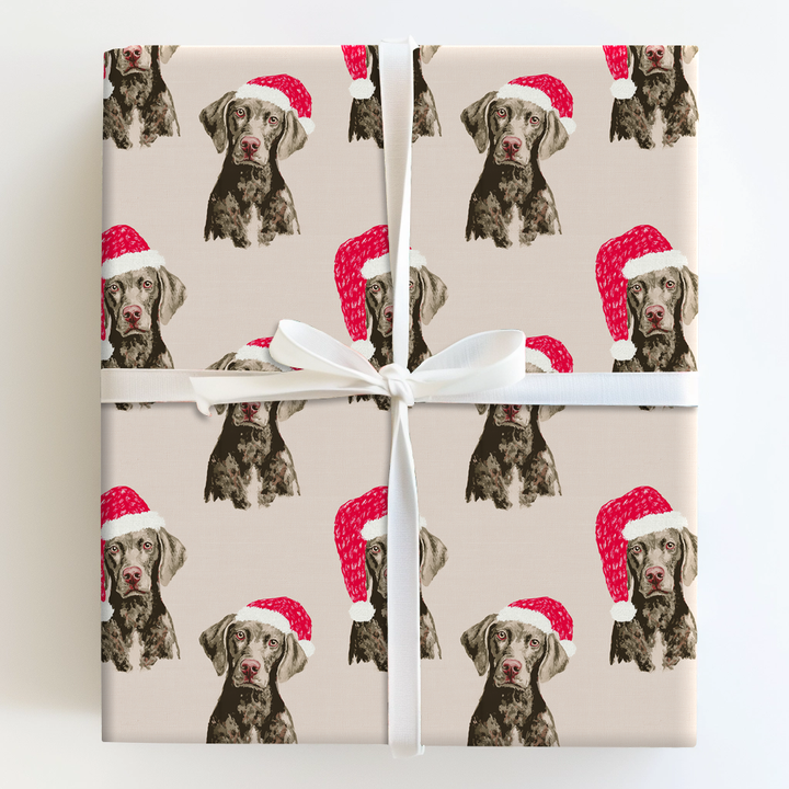 Weimaraner Claus