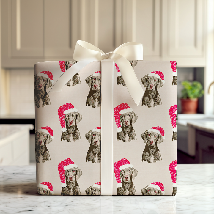 Weimaraner Claus