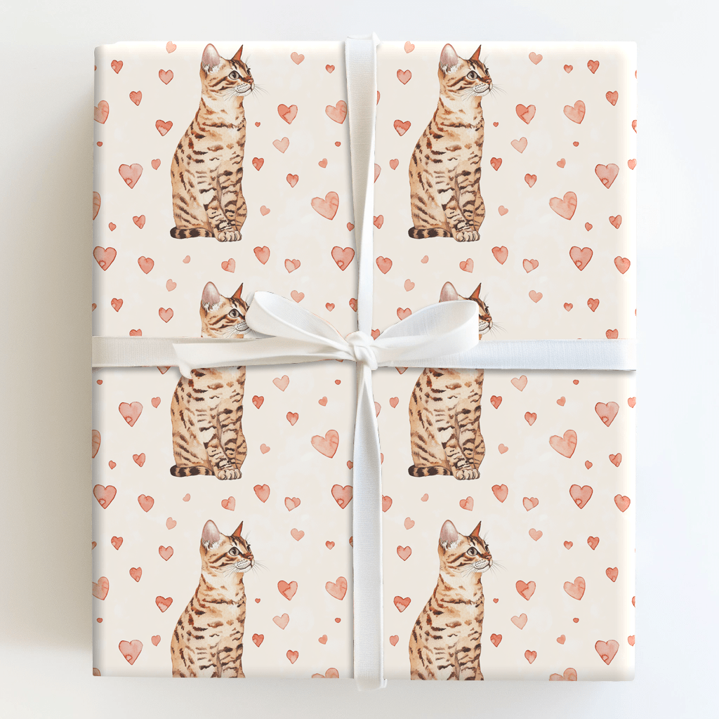 Here Pretty Kitty - Wrapping Paper - Aspen & Arlo