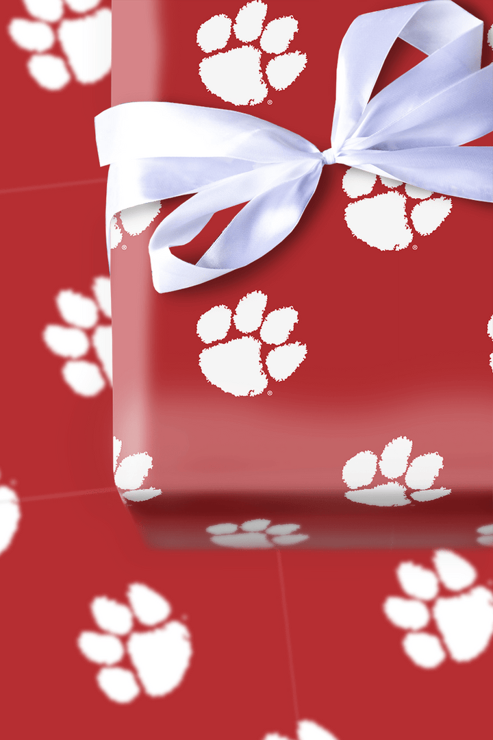 Tiger Flame - Wrapping Paper - Aspen & Arlo