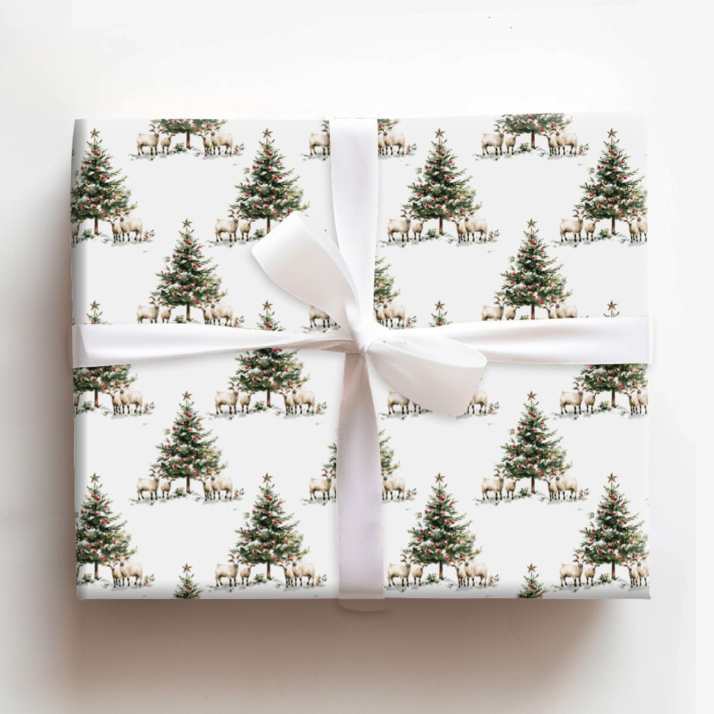 Boers of Holly - Wrapping Paper - Aspen & Arlo