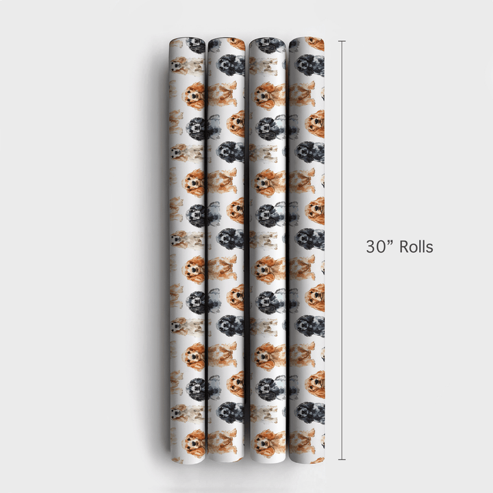 Spaniel Stares - Wrapping Paper - Aspen & Arlo