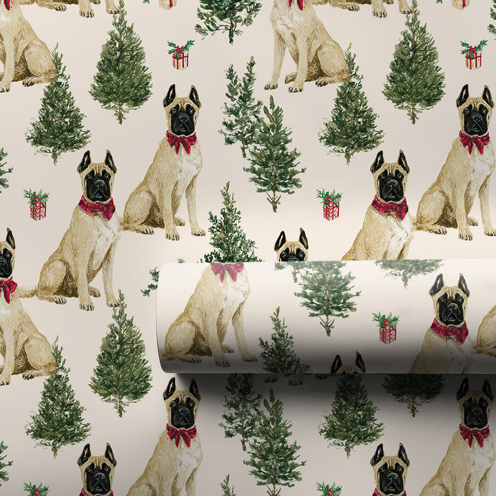 Cane Corso Gift Guards