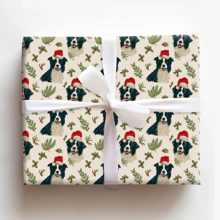 Santa Collie