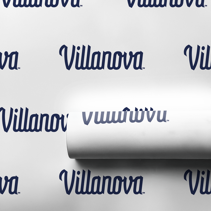 Villanova White Script