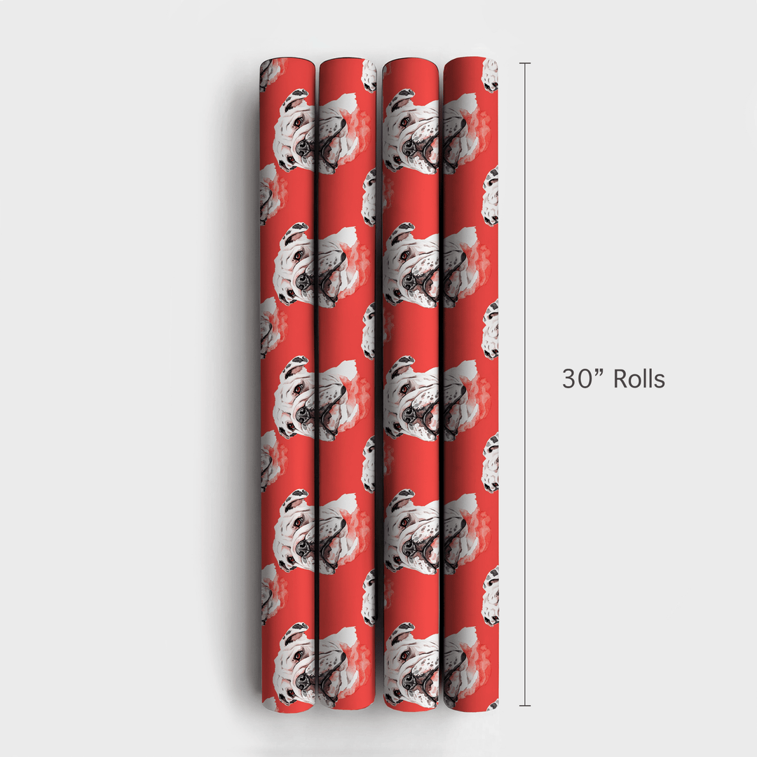 Bulldog Bite - Wrapping Paper - Aspen & Arlo