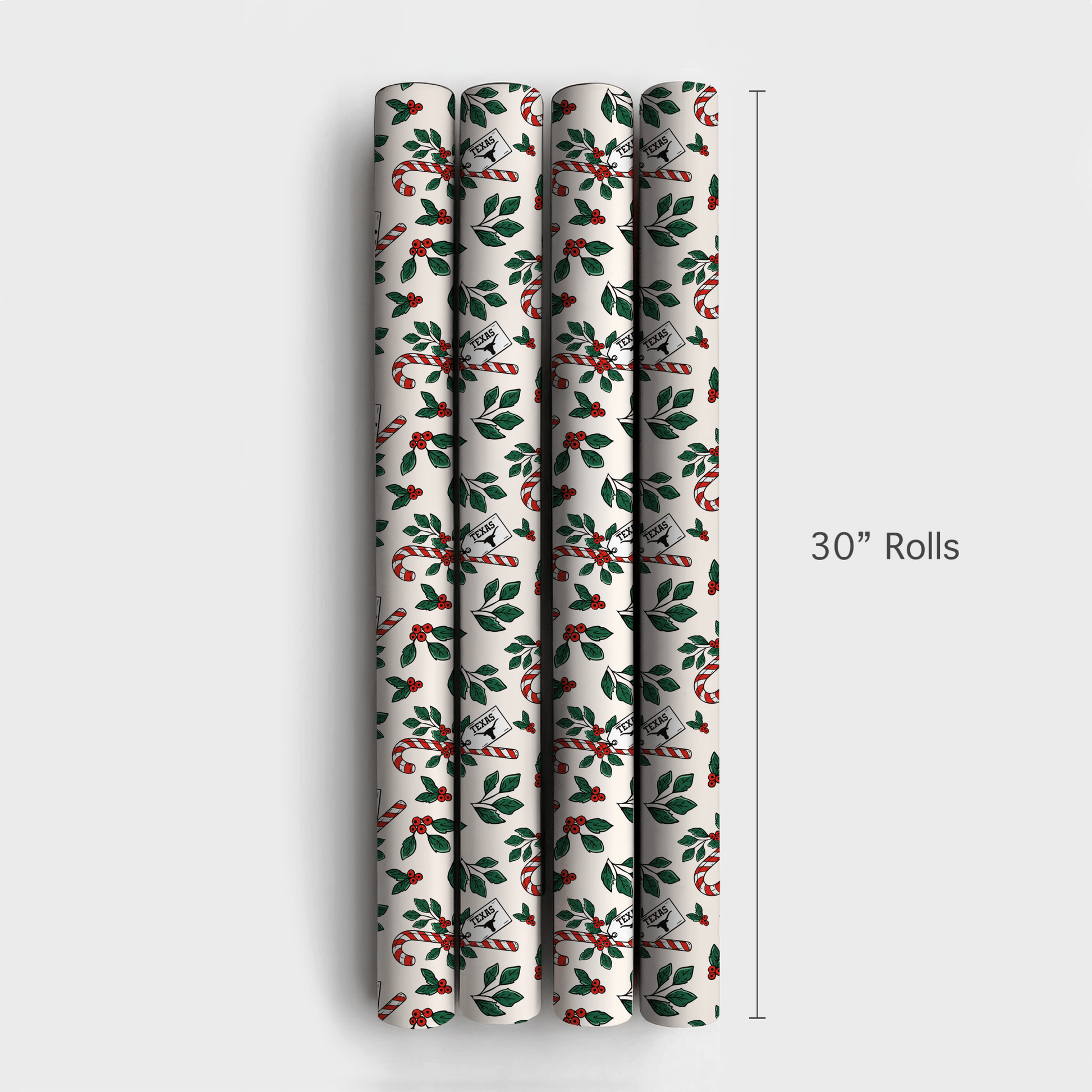 Peppermint Longhorn - Wrapping Paper - Aspen & Arlo