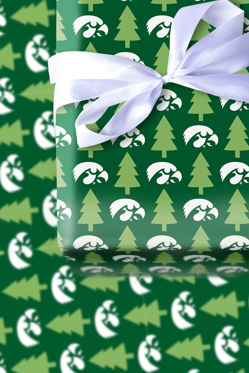 Hawkeye Holiday Pines - Wrapping Paper - Aspen & Arlo