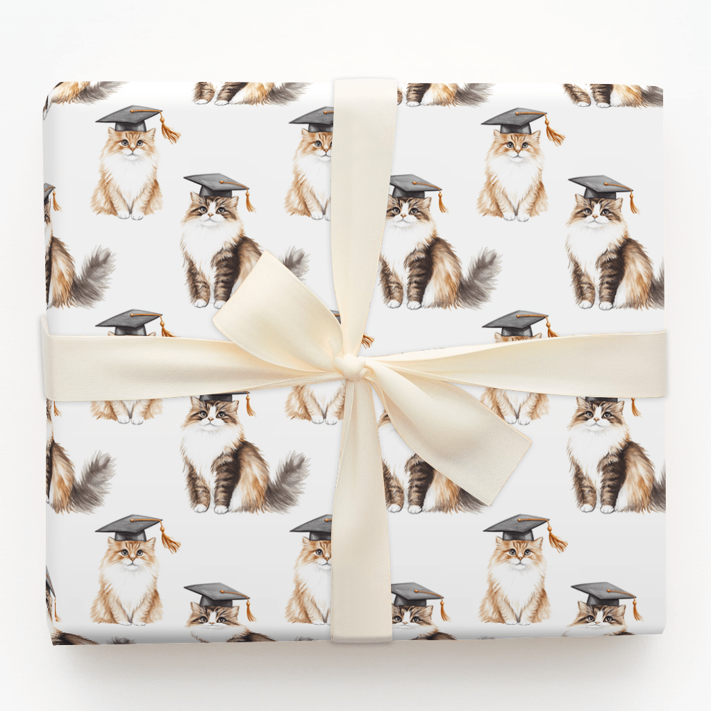 Siberian Graduate - Wrapping Paper - Aspen & Arlo