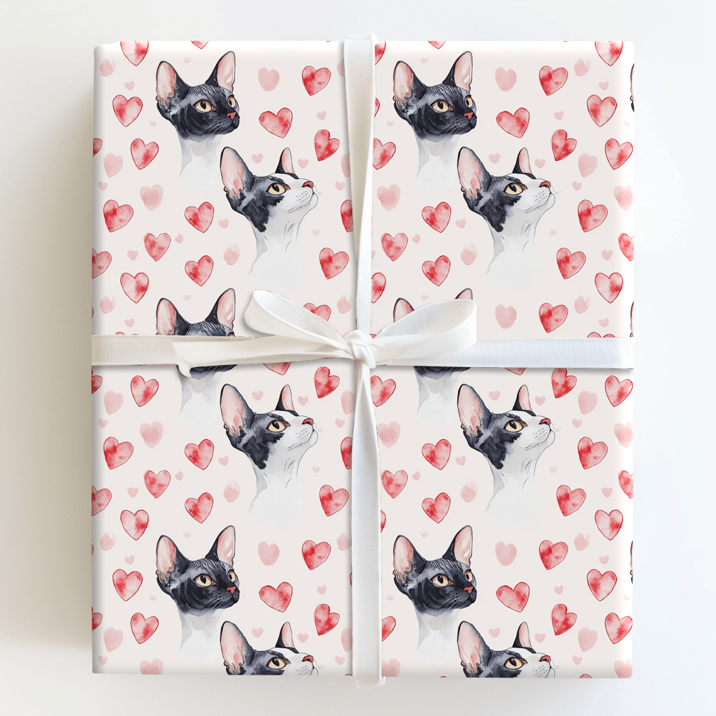 Cornish Rex Valentine - Wrapping Paper - Aspen & Arlo