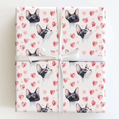 Cornish Rex Valentine - Wrapping Paper - Aspen & Arlo