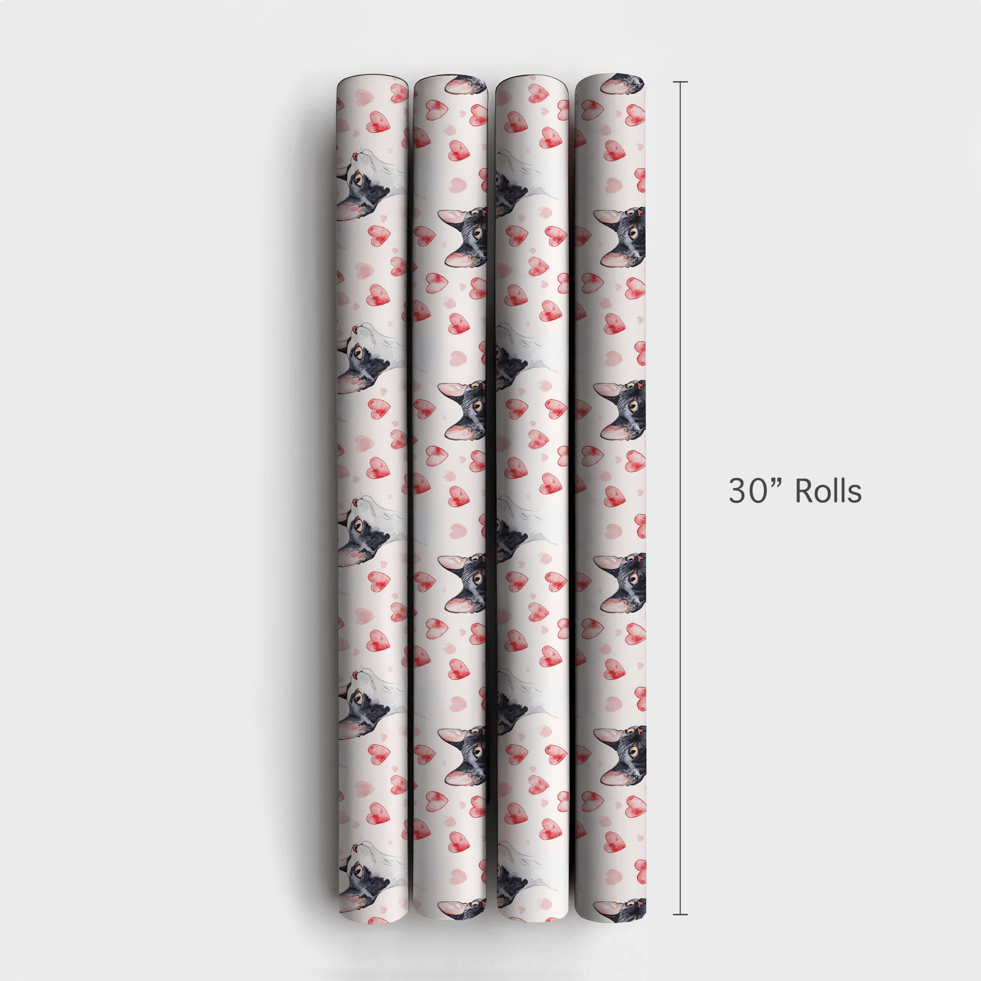 Cornish Rex Valentine - Wrapping Paper - Aspen & Arlo